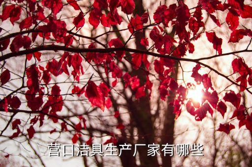 營(yíng)口潔具生產(chǎn)廠家有哪些