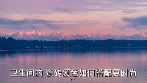 衛(wèi)生間的 瓷磚顏色如何搭配更時尚