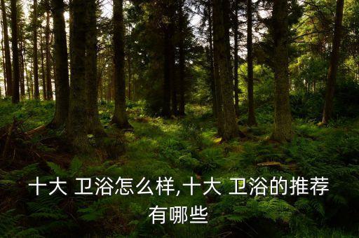 昆明得勝衛(wèi)浴品牌有哪些