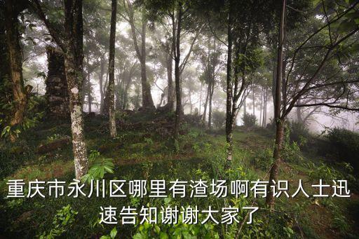 重慶市永川區(qū)哪里有渣場啊有識人士迅速告知謝謝大家了