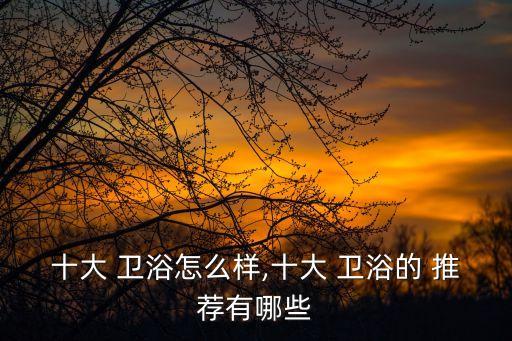 十大 衛(wèi)浴怎么樣,十大 衛(wèi)浴的 推薦有哪些
