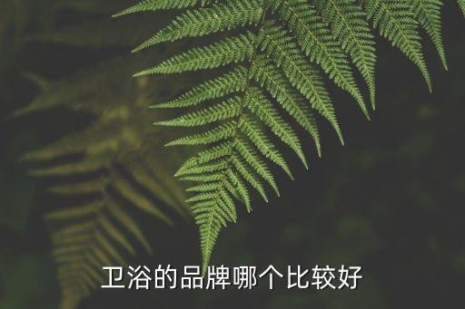 衛(wèi)浴的品牌哪個比較好