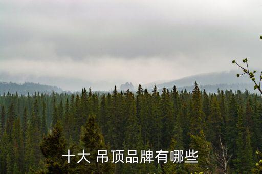 開(kāi)平衛(wèi)浴吊頂品牌前十名,衛(wèi)浴吊頂品牌排行榜前十名