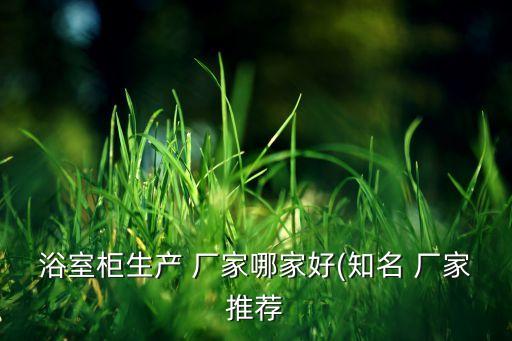 浴室柜生產(chǎn) 廠家哪家好(知名 廠家推薦