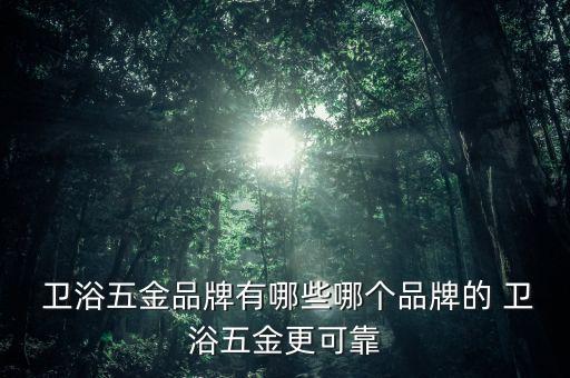 衛(wèi)浴五金品牌有哪些哪個品牌的 衛(wèi)浴五金更可靠