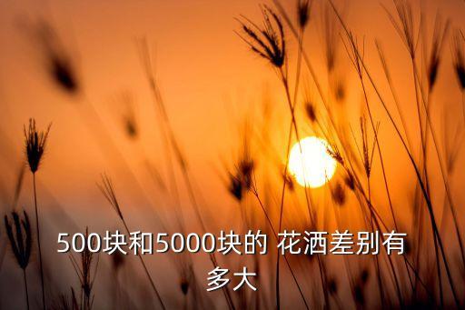 500塊和5000塊的 花灑差別有多大