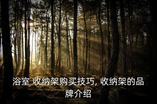 浴室 收納架購(gòu)買技巧, 收納架的品牌介紹