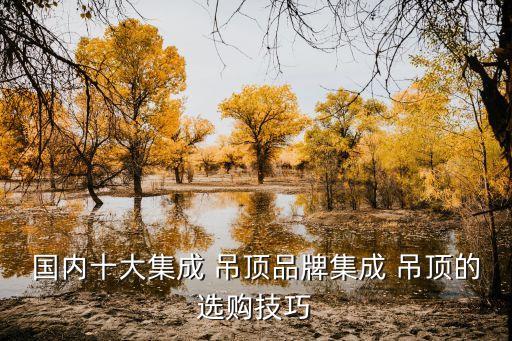 國內(nèi)十大集成 吊頂品牌集成 吊頂?shù)倪x購技巧