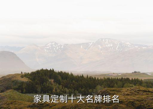 家具定制十大名牌排名