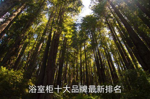 浴室柜十大品牌最新排名