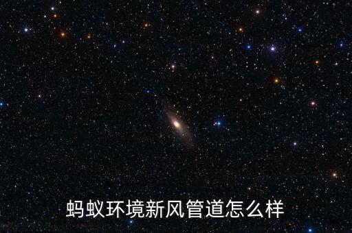 螞蟻環(huán)境新風管道怎么樣