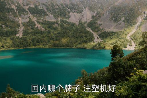 國內(nèi)哪個(gè)牌子 注塑機(jī)好