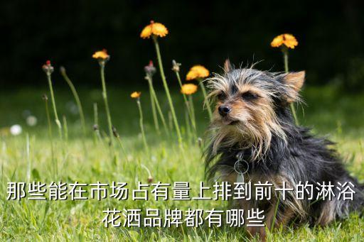那些能在市場占有量上排到前十的淋浴 花灑品牌都有哪些