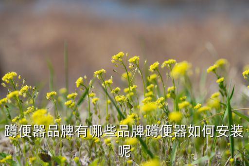 衛(wèi)浴廁紙掛件怎么安裝圖片