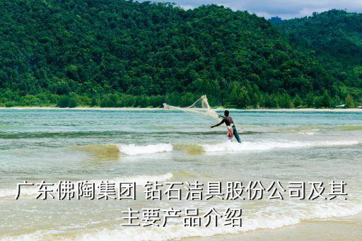廣東佛陶集團(tuán) 鉆石潔具股份公司及其主要產(chǎn)品介紹