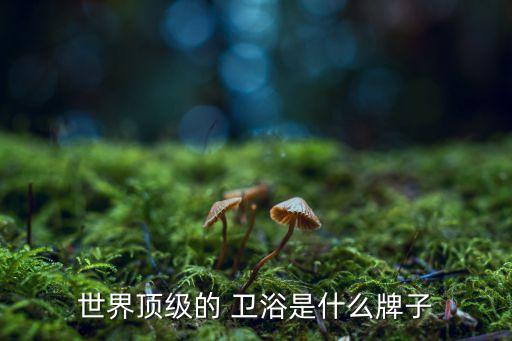 最貴的衛(wèi)浴品牌有哪些圖片