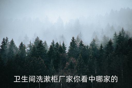 衛(wèi)生間洗漱柜廠家你看中哪家的