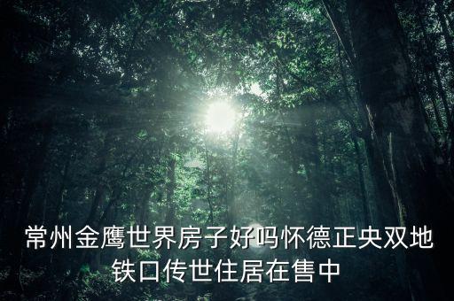  常州金鷹世界房子好嗎懷德正央雙地鐵口傳世住居在售中