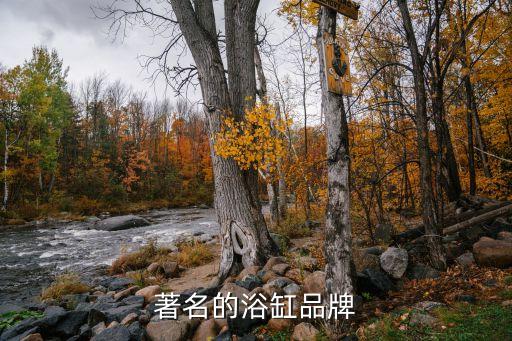 著名的浴缸品牌