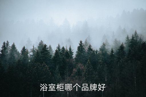浴室柜哪個(gè)品牌好