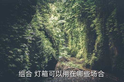衛(wèi)浴定制燈箱圖片大全視頻,定制衛(wèi)浴柜子設(shè)計(jì)圖片大全