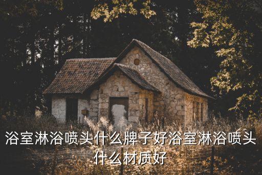 浴室淋浴噴頭什么牌子好浴室淋浴噴頭什么材質(zhì)好