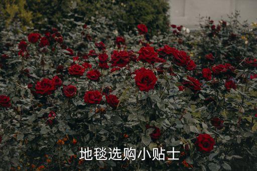門(mén)口衛(wèi)浴地毯圖片大全,門(mén)口地毯圖片大全 效果圖