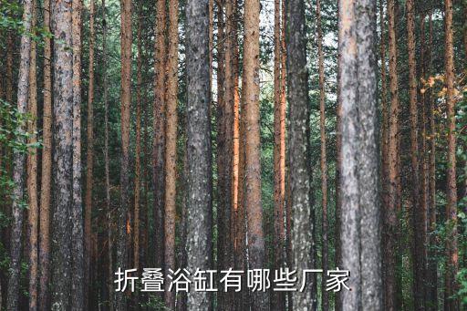 折疊浴缸有哪些廠家