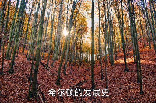  希爾頓的發(fā)展史