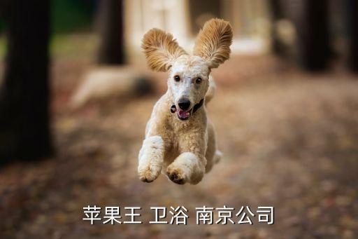 蘋果王 衛(wèi)浴 南京公司