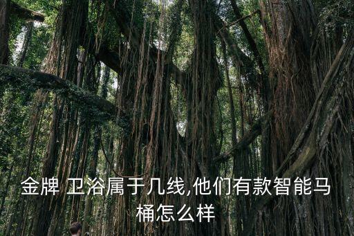 金牌 衛(wèi)浴屬于幾線,他們有款智能馬桶怎么樣