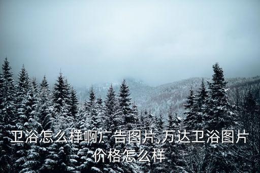 明星衛(wèi)浴怎么樣啊廣告圖片,萬達(dá)衛(wèi)浴圖片價格怎么樣