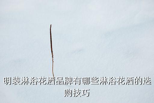 明裝淋浴花灑品牌有哪些淋浴花灑的選購技巧