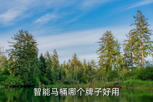 湖南遙控衛(wèi)浴牌子廠家地址