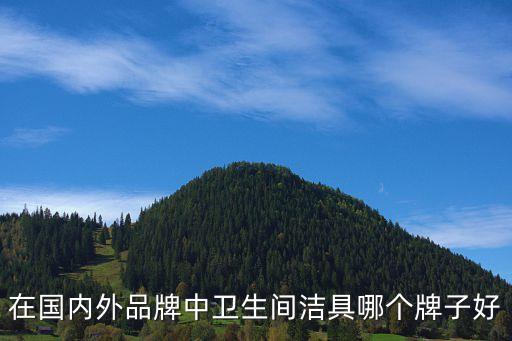 在國(guó)內(nèi)外品牌中衛(wèi)生間潔具哪個(gè)牌子好