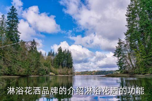 淋浴花灑品牌的介紹淋浴花灑的功能