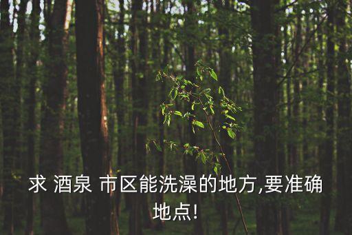 求 酒泉 市區(qū)能洗澡的地方,要準確地點!