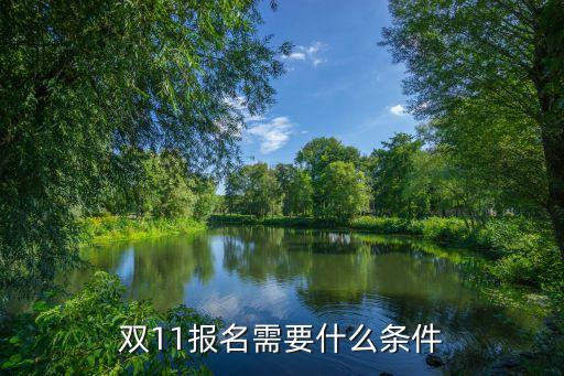雙11報(bào)名需要什么條件