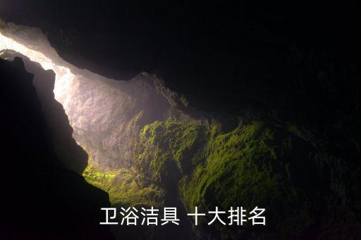  衛(wèi)浴潔具 十大排名
