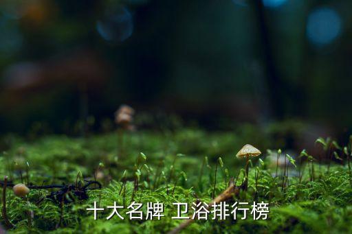  十大名牌 衛(wèi)浴排行榜