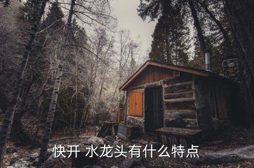 快開 水龍頭有什么特點(diǎn)