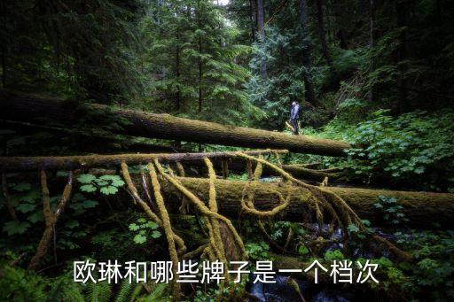 金歐琳衛(wèi)浴屬于幾線品牌