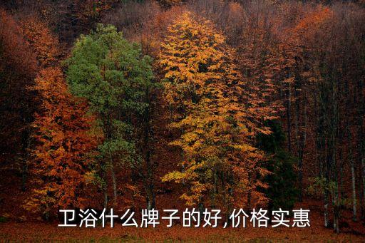  衛(wèi)浴什么牌子的好,價(jià)格實(shí)惠
