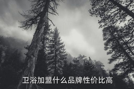  衛(wèi)浴加盟什么品牌性價比高