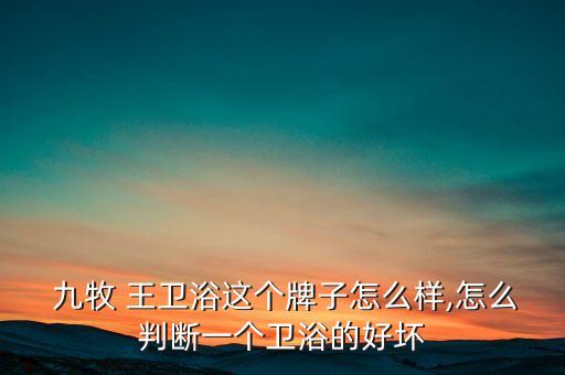  九牧 王衛(wèi)浴這個牌子怎么樣,怎么判斷一個衛(wèi)浴的好壞