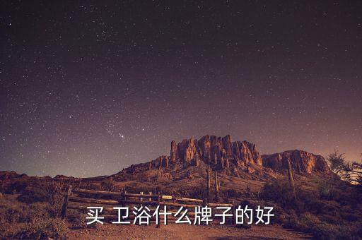 買 衛(wèi)浴什么牌子的好