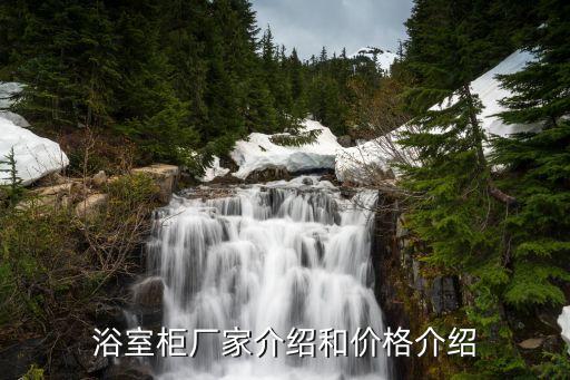 浴室柜廠家介紹和價(jià)格介紹