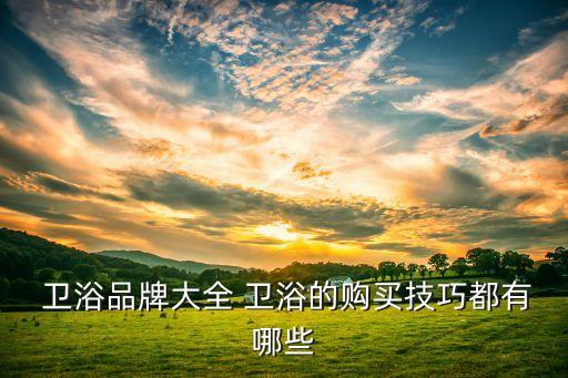 鄉(xiāng)下房子也用品牌衛(wèi)浴