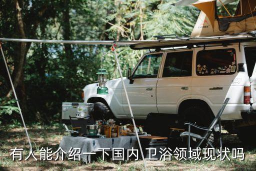 有人能介紹一下國內(nèi) 衛(wèi)浴領(lǐng)域現(xiàn)狀嗎
