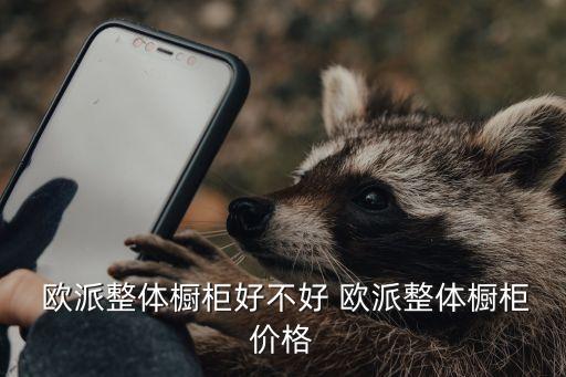  歐派整體櫥柜好不好 歐派整體櫥柜價格